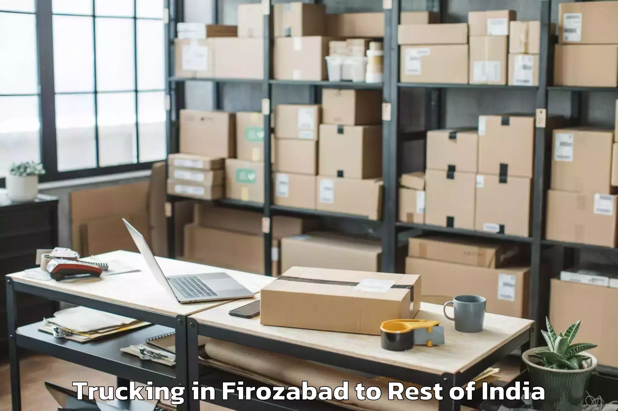 Trusted Firozabad to Hiranagar Trucking